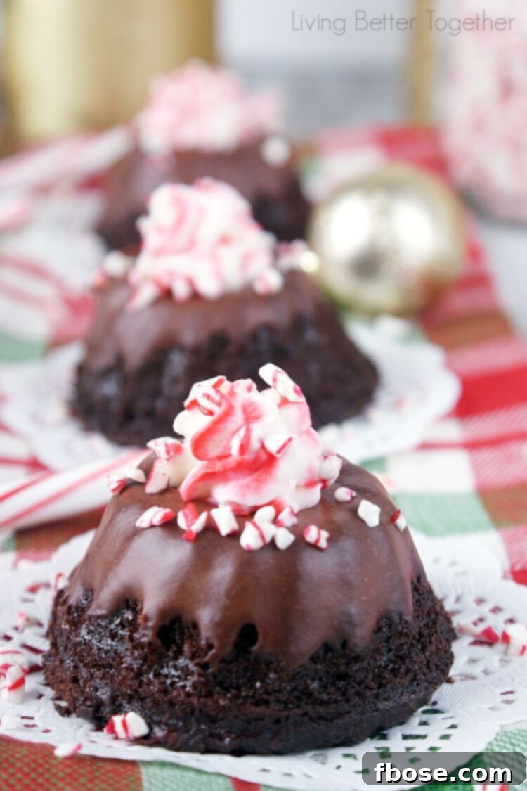 These Gluten Free Chocolate & Peppermint Mini Bundt Cakes are down right amazing! They're so moist and rich, you'd never know they were gluten free! Living Better Together