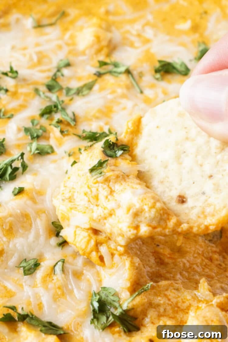 Sizzling Buffalo Chicken Dip 6 This Baked Buffalo Chicken Dip is made with real cream and blue cheeses, rotisserie chicken, hot sauce and spices for a sensational appetizer that's sure to please! Plus, it's ready in less than 30 minutes!