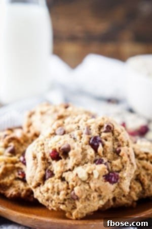 A close-up of the delicious Everything Breakfast Cookies, featuring oats, nuts, and chocolate chips.