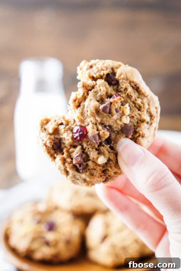 A top-down view of a rustic plate filled with baked Everything Breakfast Cookies, adorned with scattered walnuts and craisins.