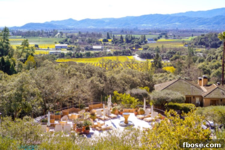 Scenic dining terrace at Auberge du Soleil overlooking Napa Valley