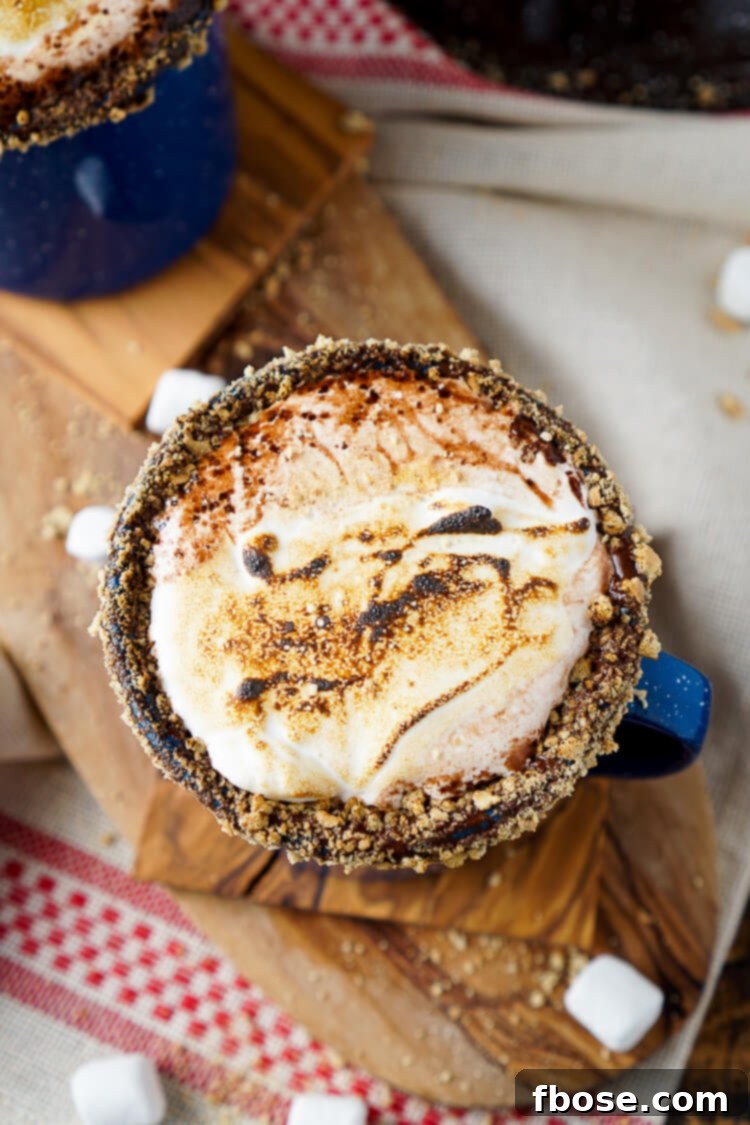 Close-up of a Campfire S'mores Hot Chocolate Cocktail, showing the rich chocolate texture and a whiskey pour.