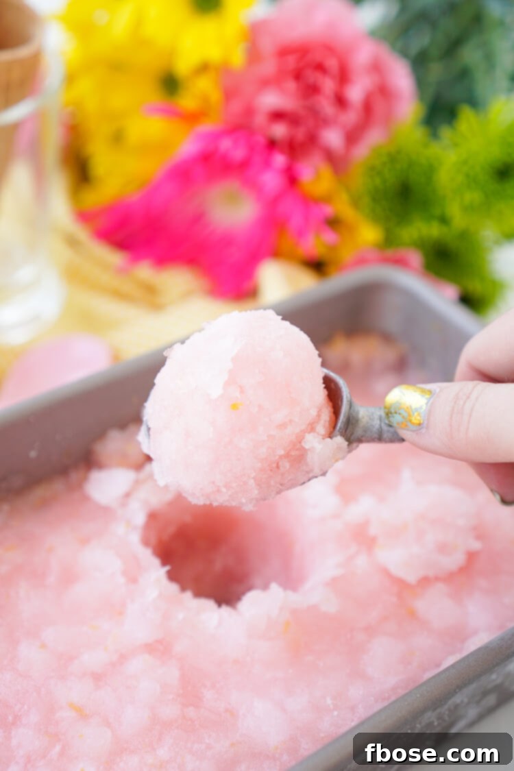 Close-up of Pink Lemonade Sorbet in a bowl, showcasing its smooth texture and refreshing appeal.