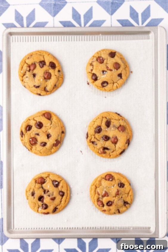 Bakery style chocolate chip cookies baking on a parchment lined baking pan.