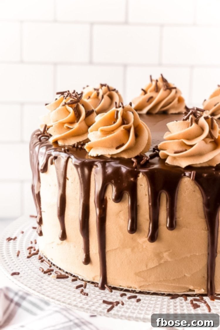 Decadent Chocolate Cookie Butter Cake 2 Close up photo of a layer cake with chocolate ganache dripping over the edge, highlighting the rich texture and tempting drizzle.