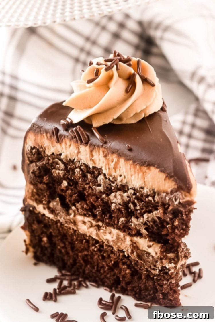Decadent Chocolate Cookie Butter Cake 3 A perfectly portioned slice of Chocolate Cookie Butter Cake on a clean white plate, showcasing its beautiful layers of chocolate cake, cookie butter frosting, and ganache.