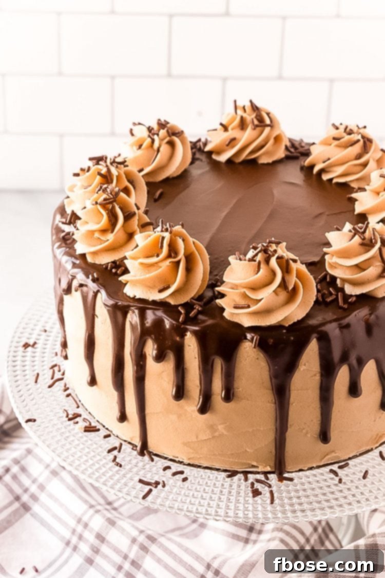 Decadent Chocolate Cookie Butter Cake 4 A stunning Cookie Butter Cake, beautifully frosted and topped with rich chocolate ganache, presented on an elegant clear cake stand.