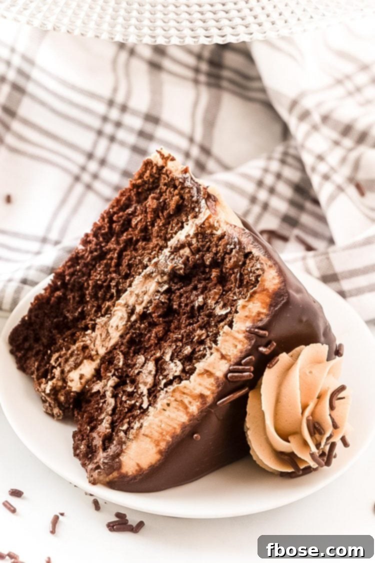 Decadent Chocolate Cookie Butter Cake 7 A close-up view of a slice of chocolate cake with creamy cookie butter frosting, resting on a white plate, inviting a bite.