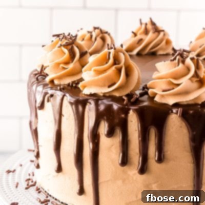 Decadent Chocolate Cookie Butter Cake 8 Close up photo of a layer cake with chocolate ganache dripping over the edge.