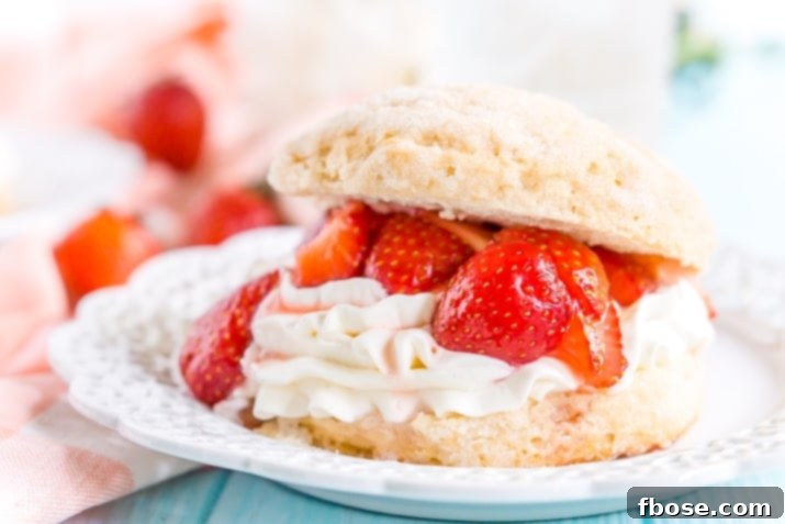 White plate with strawberry shortcake made with a biscuit, whipped cream, and macerated strawberries, ready to be enjoyed.