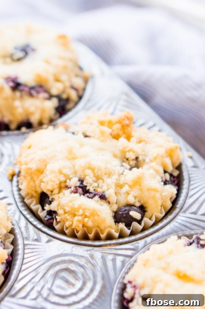 Close-up of freshly baked blueberry muffins, showcasing the delicate texture and a generous crumb topping.