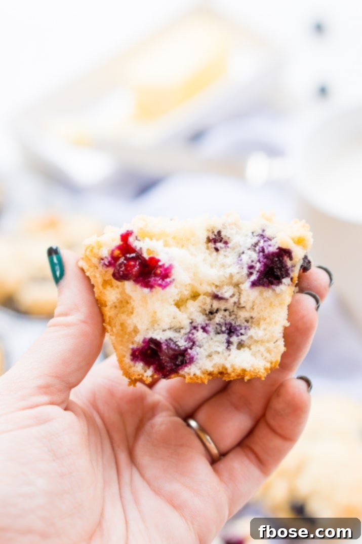 Individual blueberry muffins on a plate, with some berries scattered around, ready for breakfast.