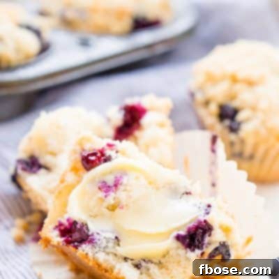 Delicious Blueberry Muffins with a Sweet Crumb Topping