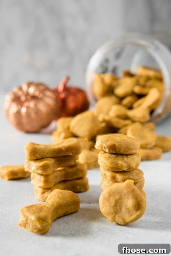 A close-up of a variety of fall-themed homemade dog treats, shaped like leaves and pumpkins, laid out on a baking sheet.