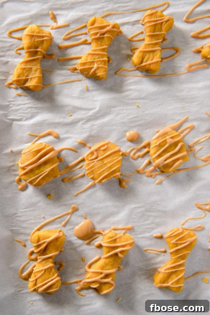 Small, bone-shaped pumpkin peanut butter dog treats arranged neatly on a parchment-lined baking sheet, ready for baking.