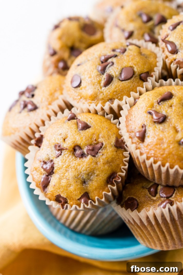 Delightful Pumpkin Chocolate Chip Muffins, a perfect fall breakfast or snack for the whole family