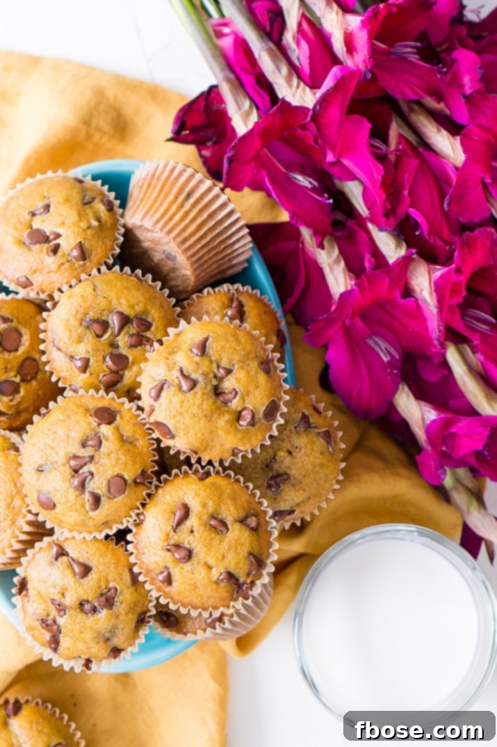 Moist Pumpkin Chocolate Chip Muffins with a perfect golden-brown top