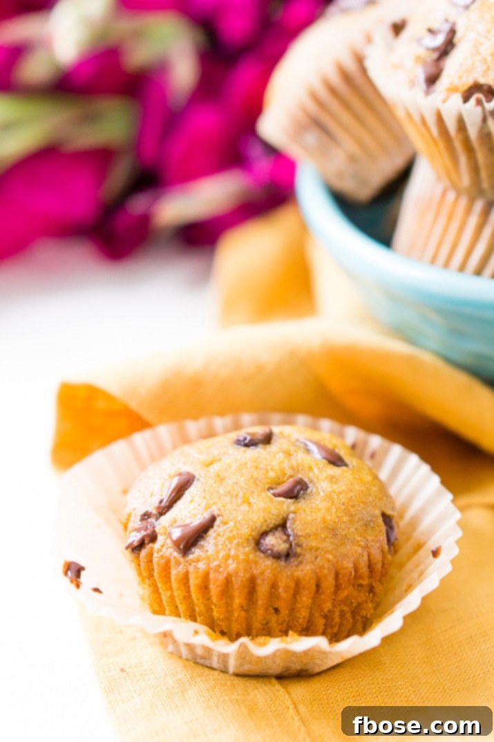 Easy Pumpkin Chocolate Chip Muffins recipe, fresh from the oven