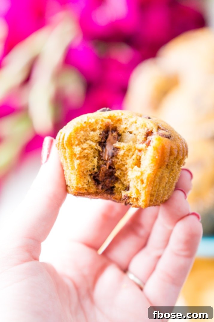 A plate of Pumpkin Chocolate Chip Muffins, perfect for any fall gathering