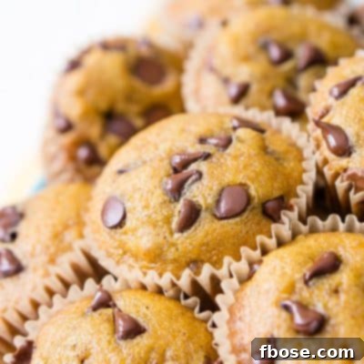 These Pumpkin Muffins are loaded with chocolate chips and spices for a fall breakfast, treat, or snack the whole family will love!