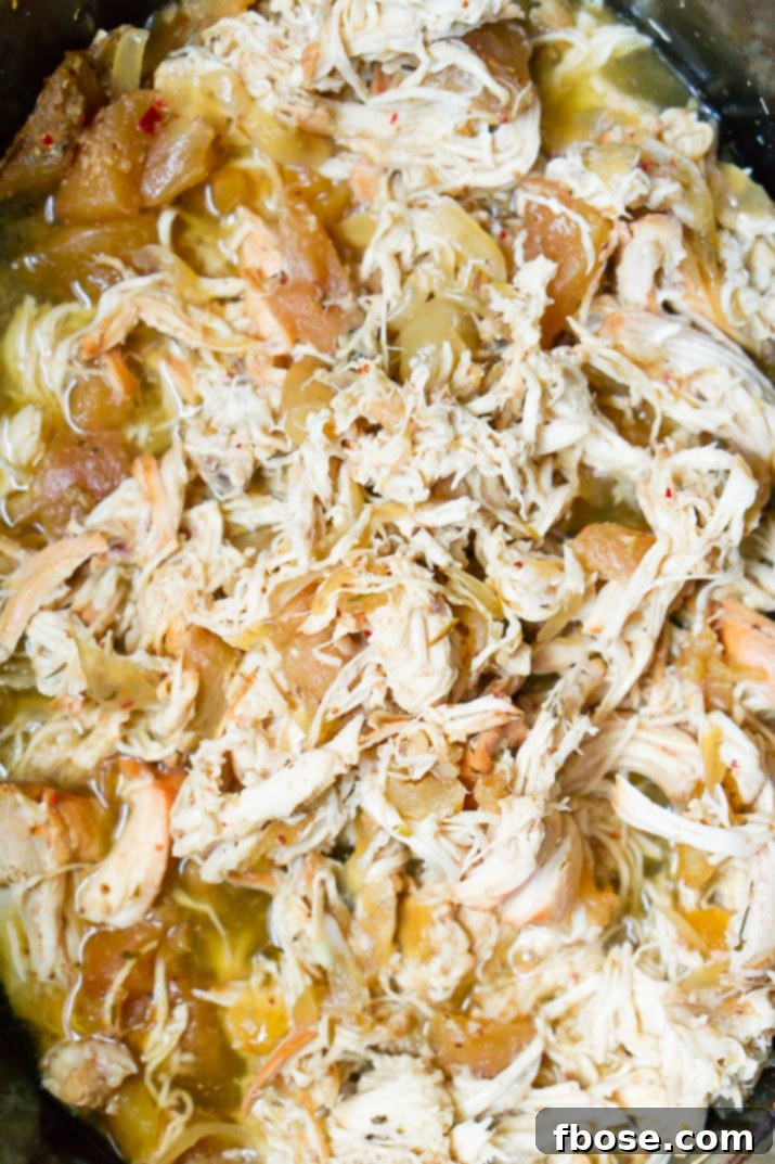 Ingredients for Apple Cider Pulled Chicken in a slow cooker before cooking