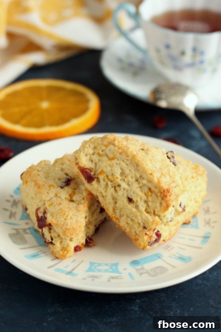 Zesty Cranberry Orange Scones 2 Delicious Cranberry Orange Scones for breakfast, snack, or dessert