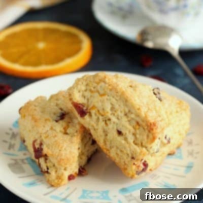 Zesty Cranberry Orange Scones 6 These delicious Cranberry Orange Scones are great for breakfast, as an afternoon snack, or even as a dessert. The smaller portion is perfect for a quick bite on the go without the guilt.
