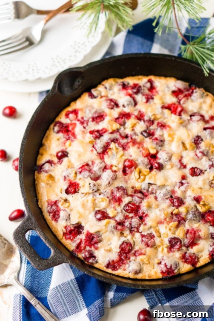 Close-up of a Cranberry Skillet Cake, showing its moist texture, glistening cranberries, and baked-to-perfection edges, ready to be sliced.