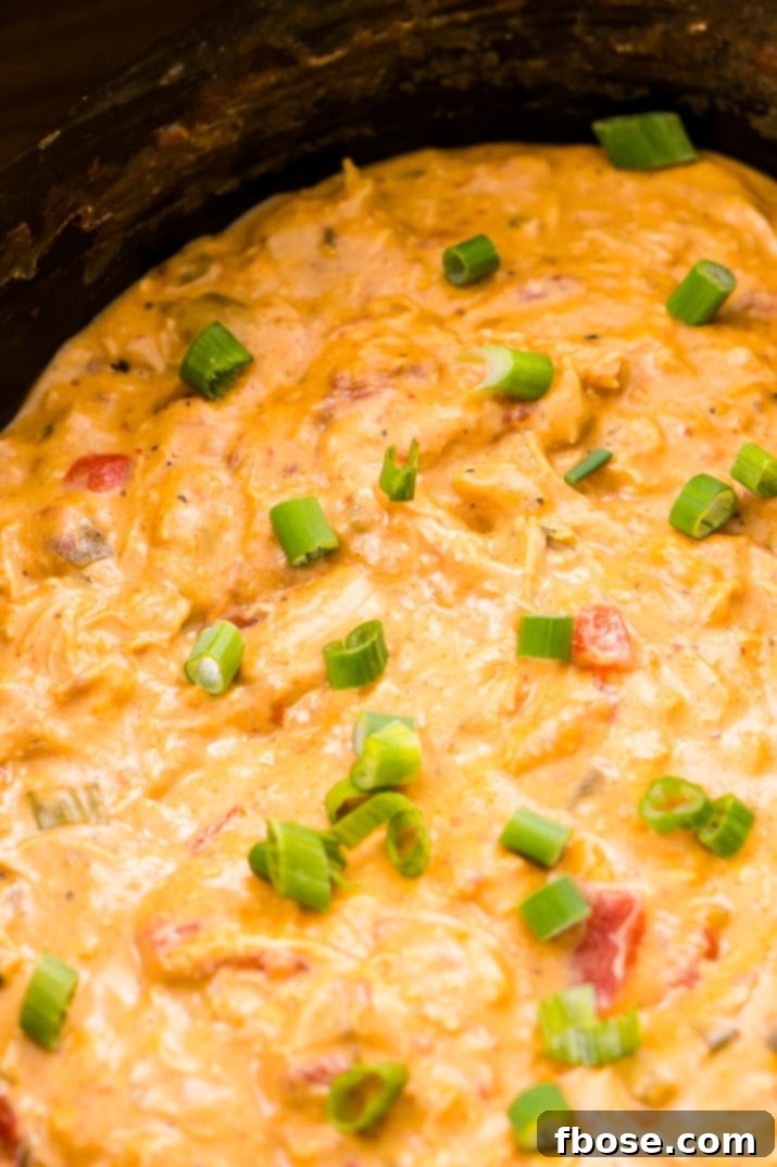 Slow Cooker Chicken Queso Dip Recipe
