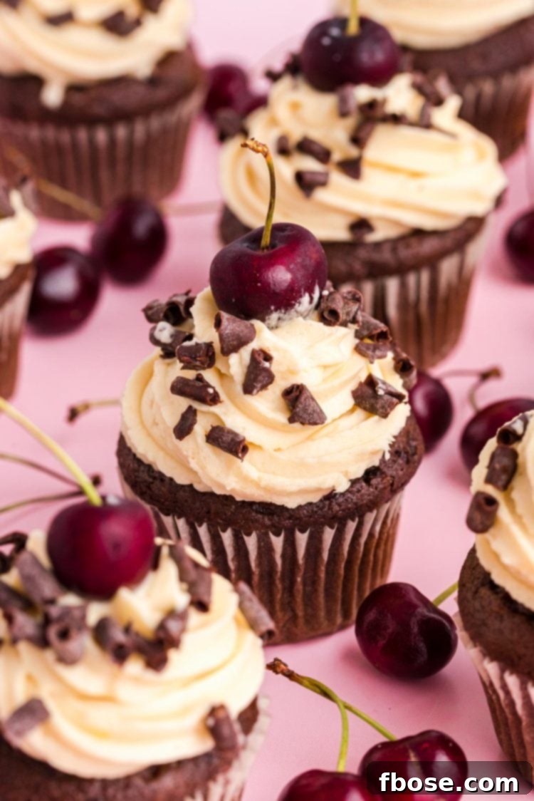 Beautifully arranged Black Forest Cupcakes on a pink surface, surrounded by fresh, glistening cherries, highlighting their vibrant colors.