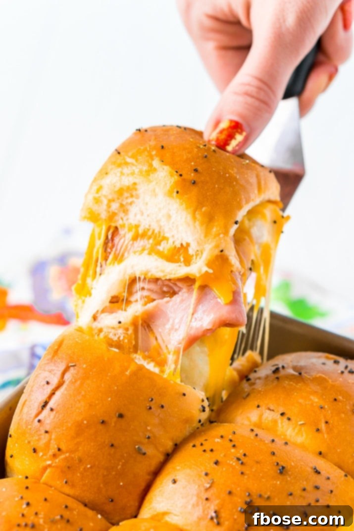Cooked Ham and Cheese Sliders on Hawaiian Rolls, fresh out of the oven, golden brown and cheesy.