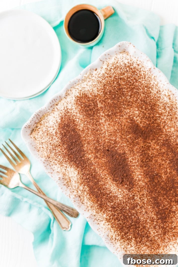 Overhead Shot of Pan of Homemade Tiramisu