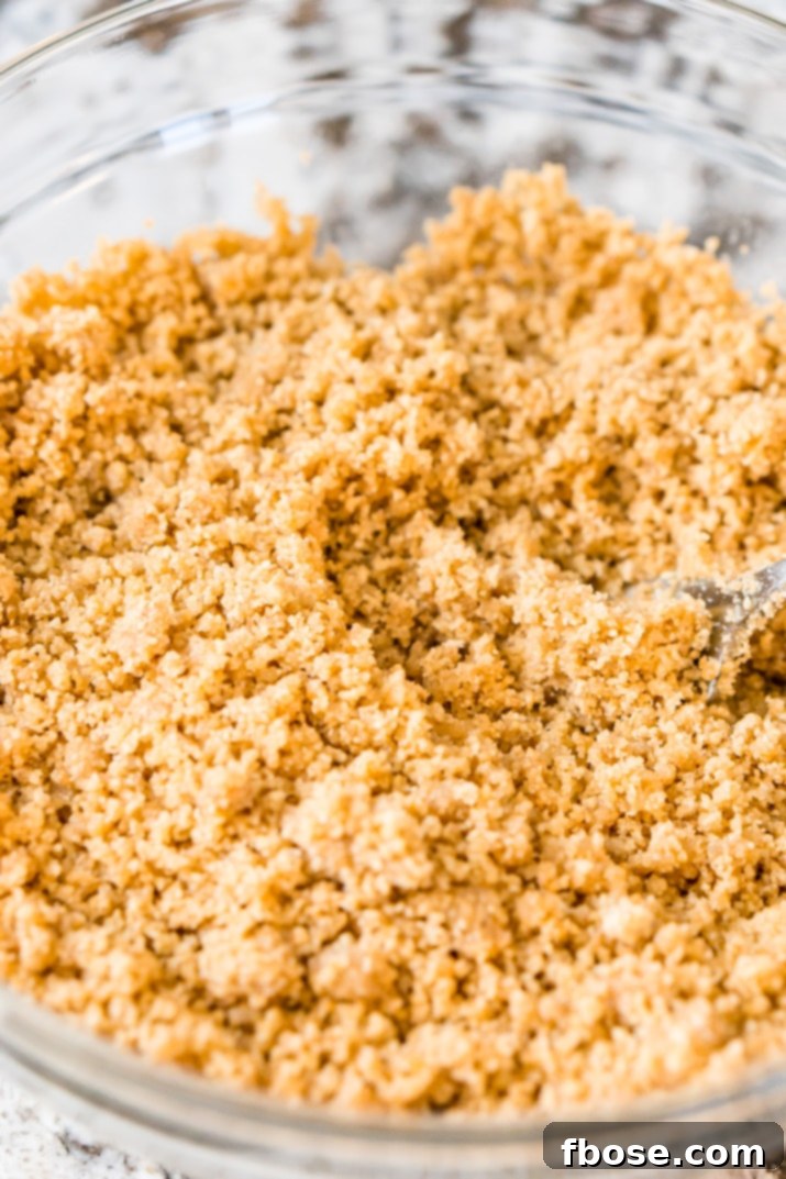 The Ultimate Graham Cracker Crust 6 Homemade Graham Cracker Crust