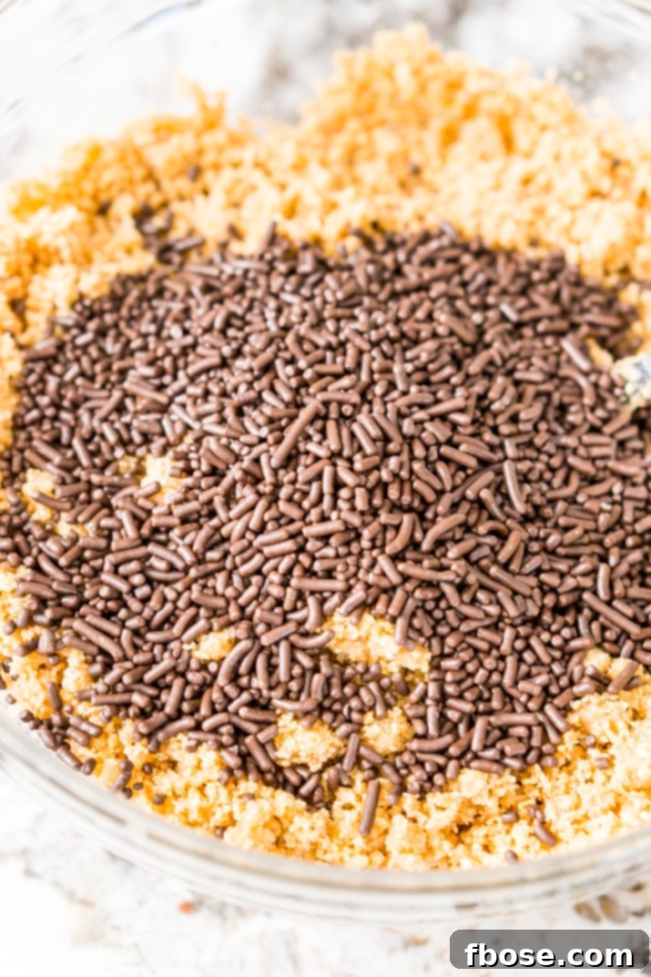 The Ultimate Graham Cracker Crust 7 Add sprinkles to graham cracker crust