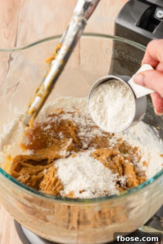The Definitive Chocolate Chip Cookie 13 Dry ingredients being added to wet ingredients to make cookie dough.