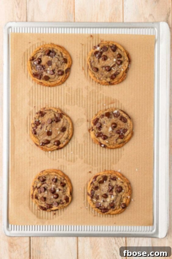 The Definitive Chocolate Chip Cookie 17 Chocolate chip cookies baked on a baking sheet.