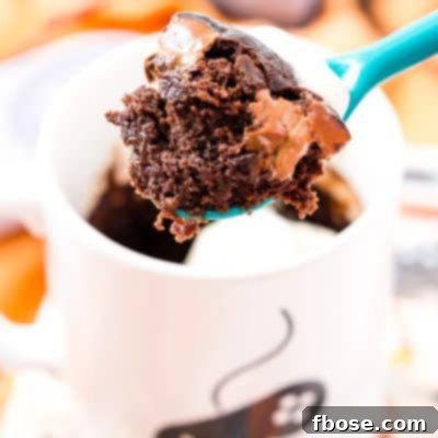 Fudgy Microwave Brownie Mug Cake