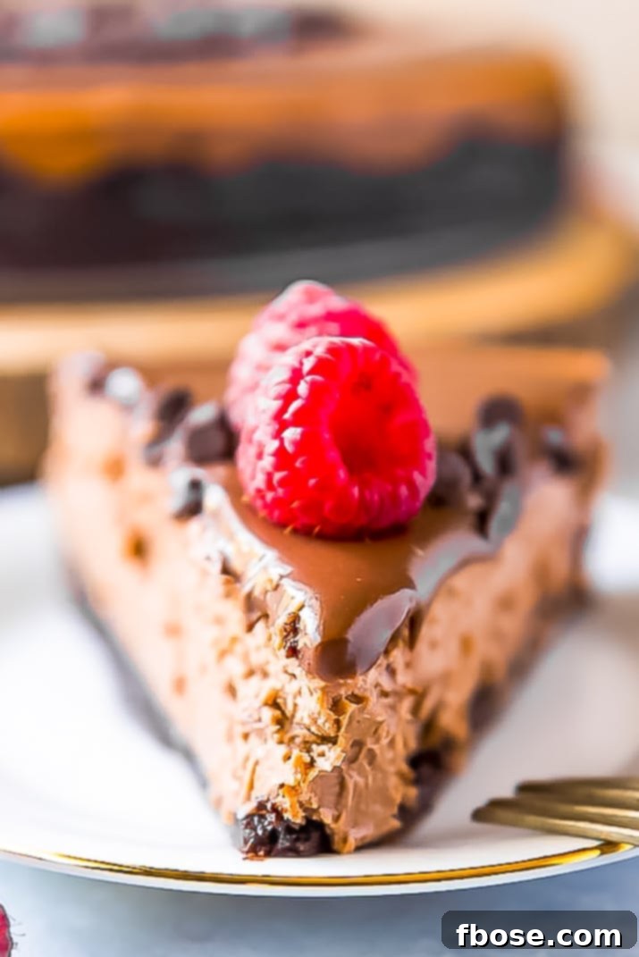Decadent slice of triple chocolate cheesecake with ganache and chocolate chips