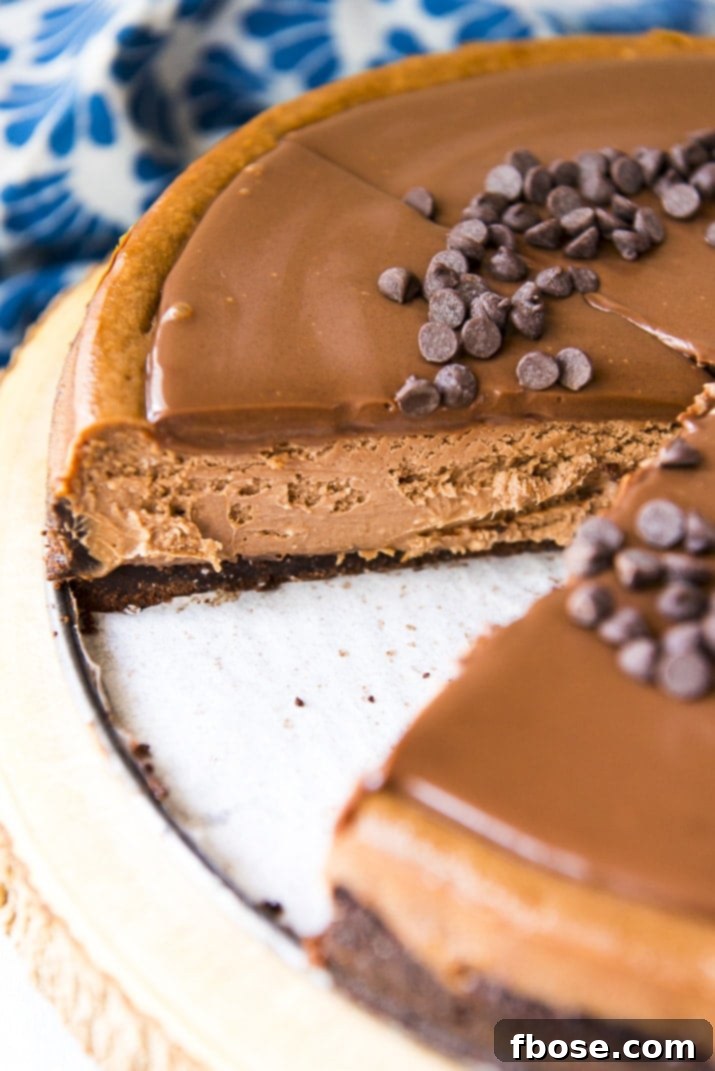 Baked triple chocolate cheesecake in a springform pan, ready for ganache