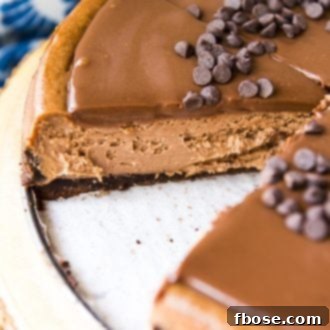 Close-up of a perfectly baked triple chocolate cheesecake slice