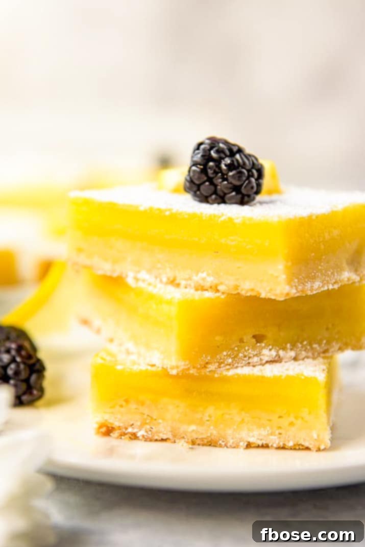Sunshine Lemon Bars 6 Tart lemon custard & subtly sweet shortbread make these bright and tasty Lemon Bars the perfect summer treat! These highly portable dessert bars can be cut to any size you need, and are great for all your picnics in the park, outdoor barbecues, and pool parties all season long.
