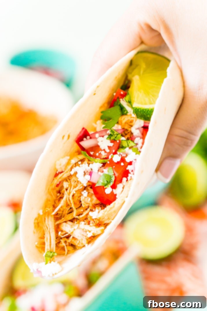Savory Pulled Chicken Tacos 6 Plate of perfectly assembled shredded chicken tacos, ready to be served