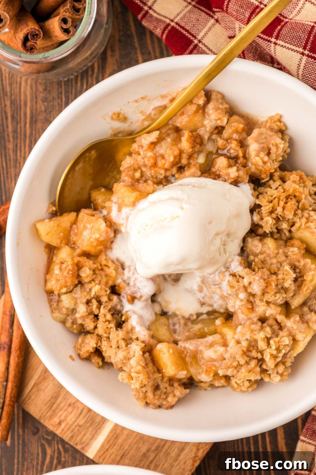 Comforting Apple Oat Crumble 2 Overhead photo of a bowl of apple crisp with a scoop of ice cream on top.