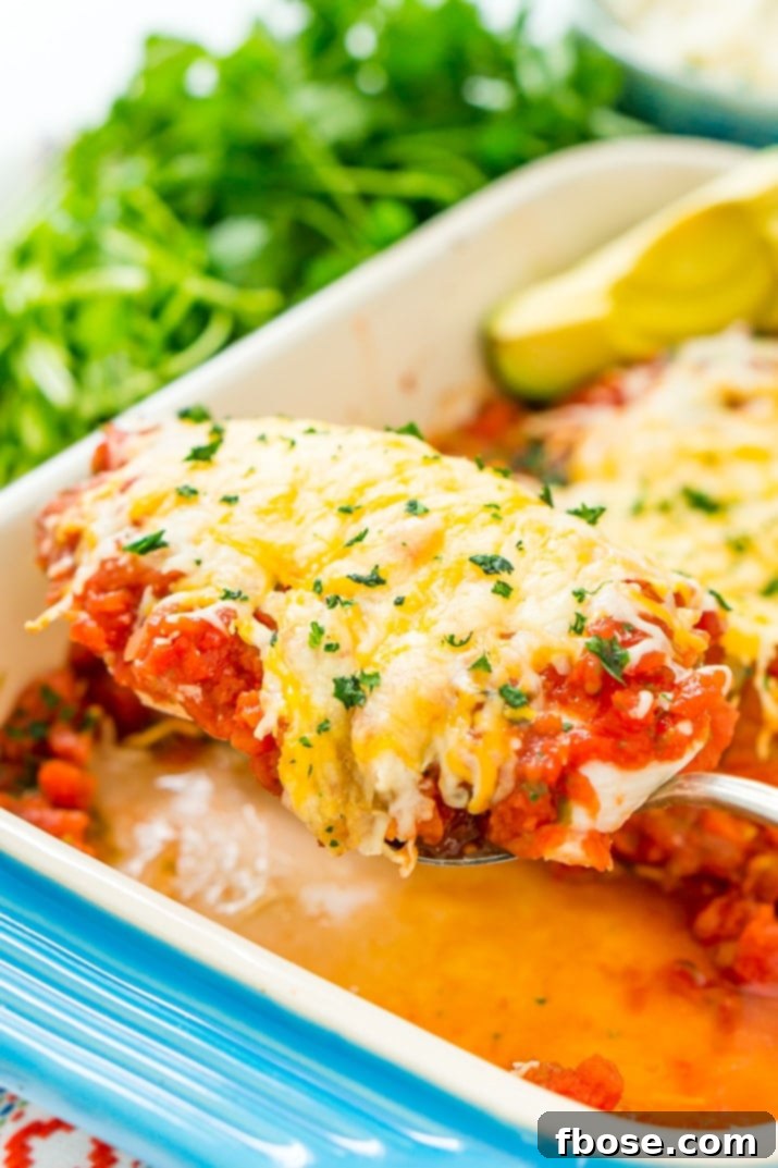 Zesty Salsa Chicken 2 A vibrant Salsa Chicken Bake in a baking dish, showcasing the juicy chicken, rich salsa, and melted cheese, ready to be served.