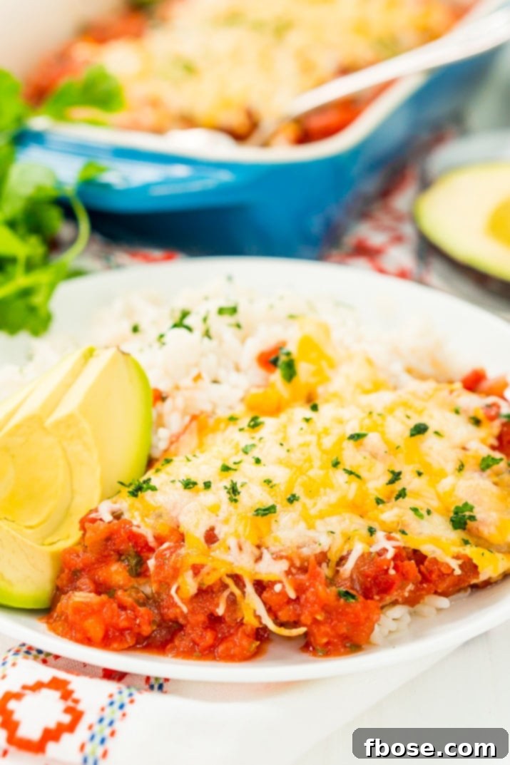 Zesty Salsa Chicken 4 Close up photo of Salsa Chicken Bake on a white plate, served with a side of fluffy rice and fresh avocado slices, garnished with cilantro.