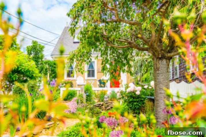 Provincetown Weekend Escape 9 Provincetown Transportation: Uber, Lyft, Taxi, and Parking Tips