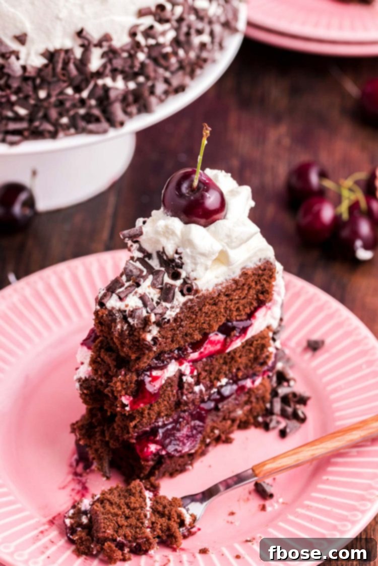 A slice of black forest cake on a pink plate.