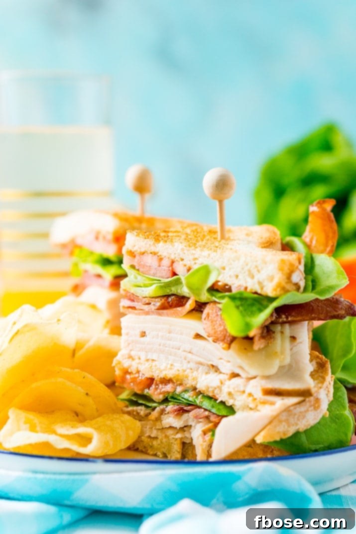 A delicious Club Sandwich served alongside crunchy potato chips and a refreshing glass of lemonade – the quintessential summer lunch for enjoying simple moments outdoors.