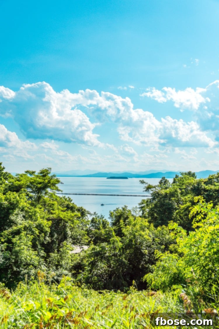 Unlocking Burlington: Essential Experiences in Vermont 12 A breathtaking landscape of Lake Champlain with verdant forests under a clear, sunny sky, inviting outdoor enthusiasts to Burlington.