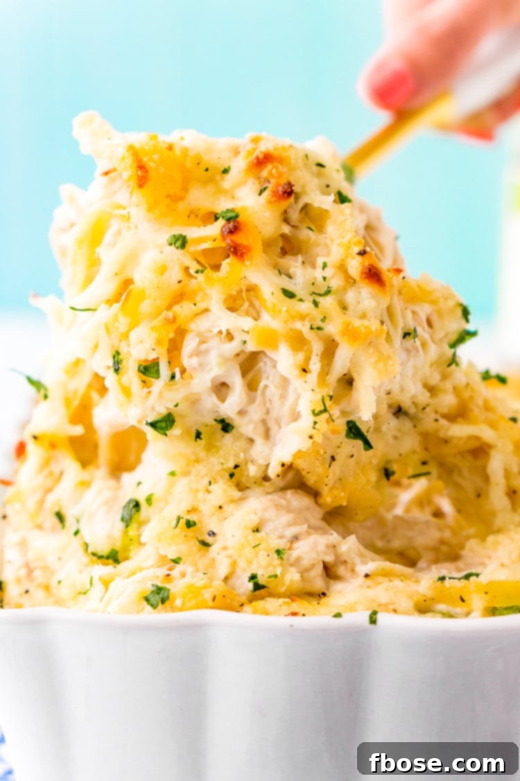A delicious Chicken Tetrazzini casserole with fettuccine, chicken, mushrooms, and peas in a creamy cheese sauce.